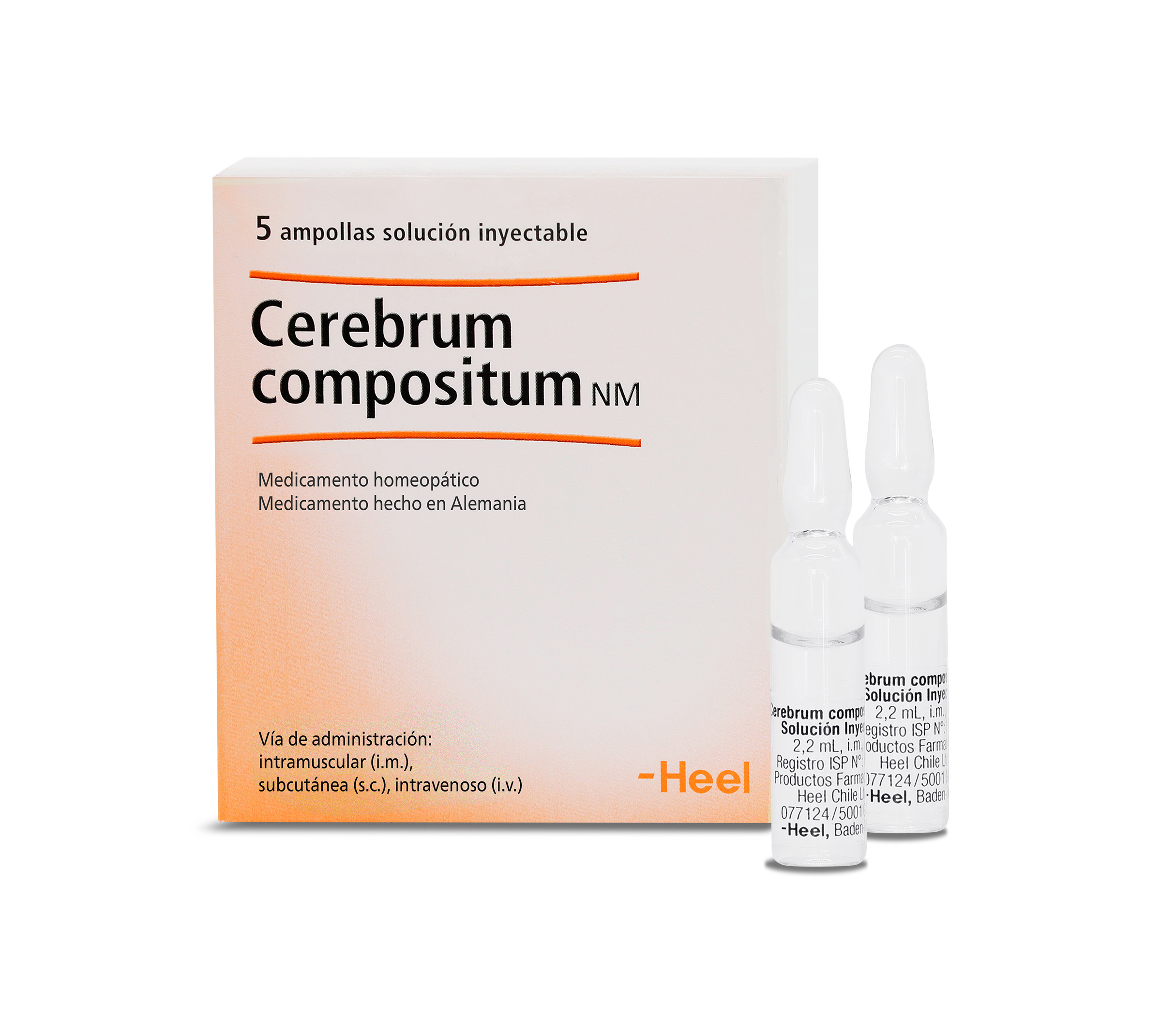Cerebrum compositum NM Inyectable
