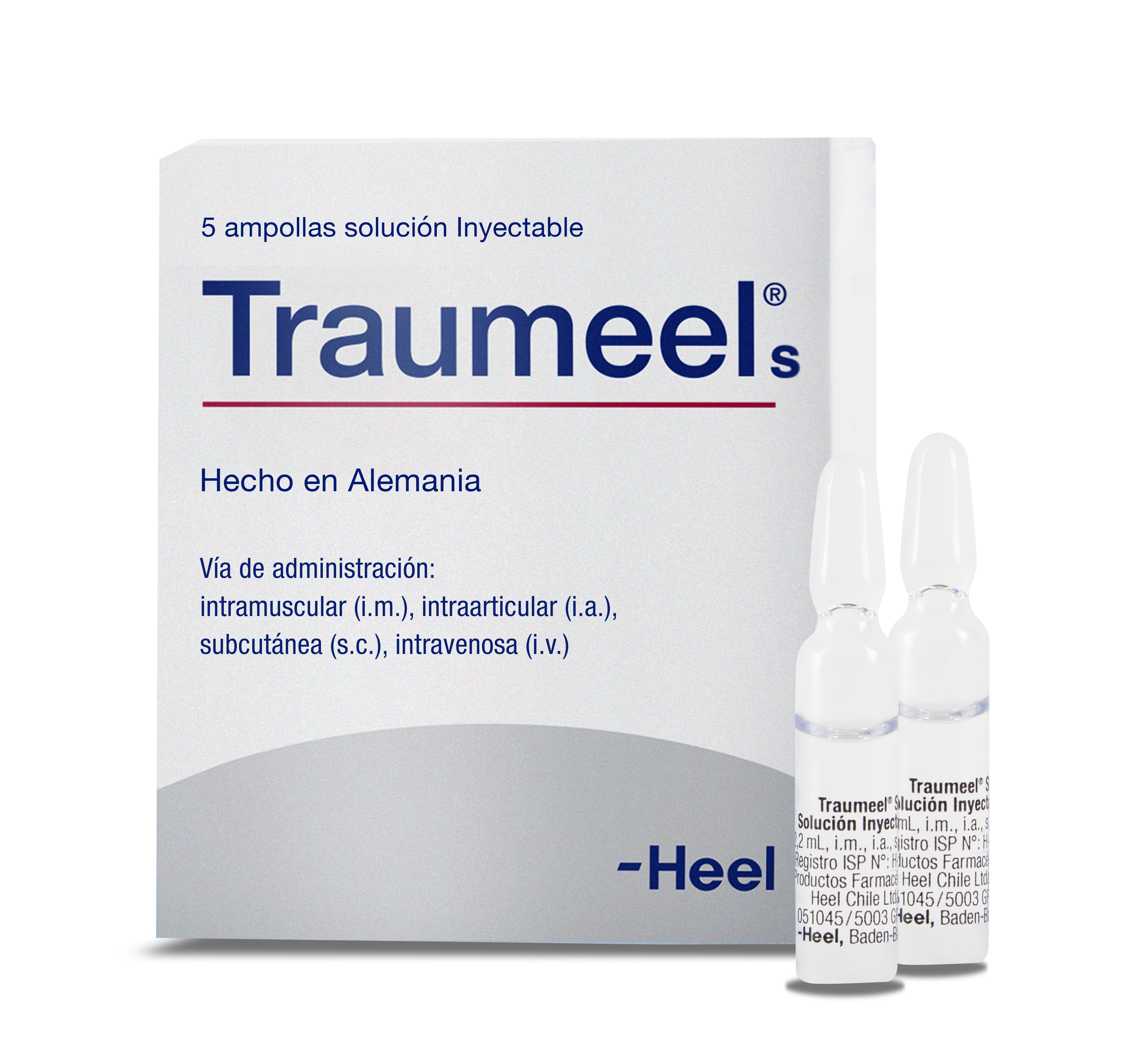 Traumeel® S Inyectable Inyectable